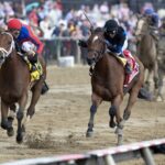 Awesome Aaron - Pimlico Special - Debra A. Roma - Daily Racing Form
