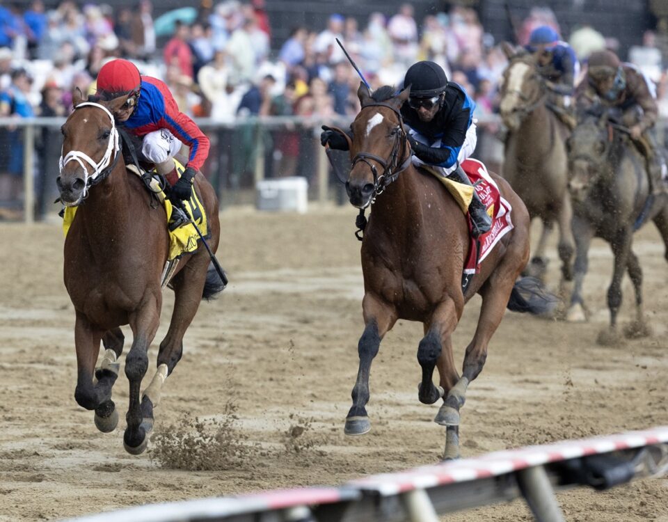 Awesome Aaron - Pimlico Special - Debra A. Roma - Daily Racing Form