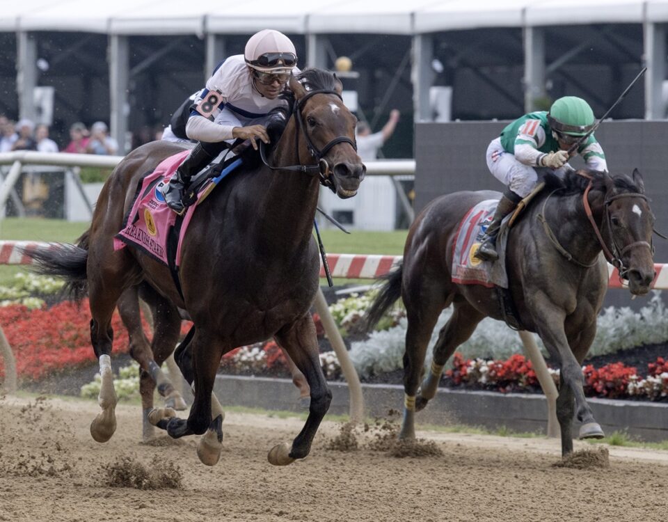 Echo Sound - Miss Preakness Stakes - Barbara D. Livingston - Daily Racing Form