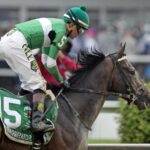 Exaggerator - Preakness 2016 - Barbara D. Livingston - Daily Racing Form