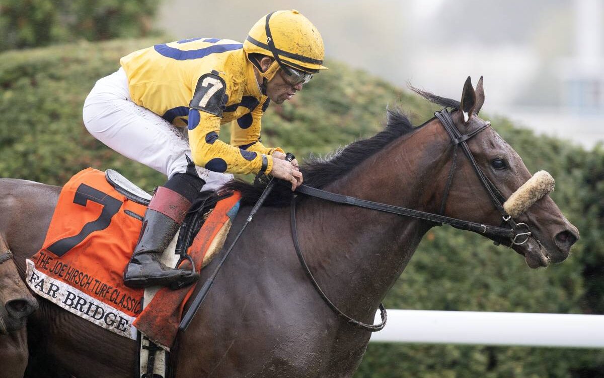 Far Bridge - Barbara D. Livingston - Daily Racing Form