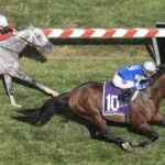 Fort Washington -Dinner Party Stakes - Justin Lane - Daily Racing Form