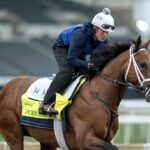 Journalism - Barbara D. Livingston - Daily Racing Form