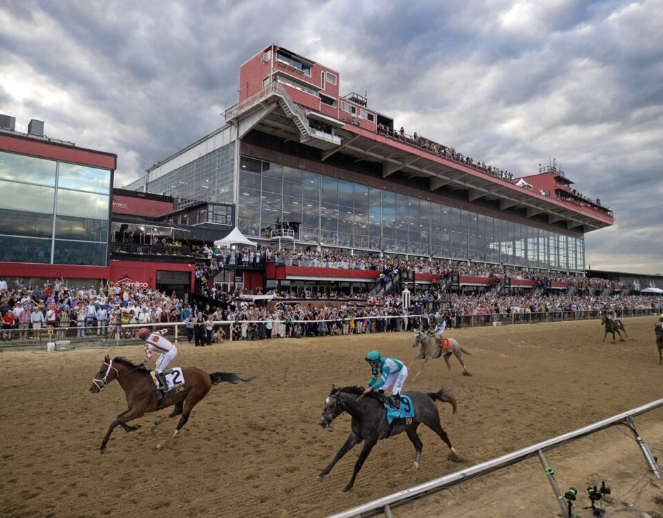 Journalism - Preakness Stakes G1 - Debra A. Roma - Daily Racing Form