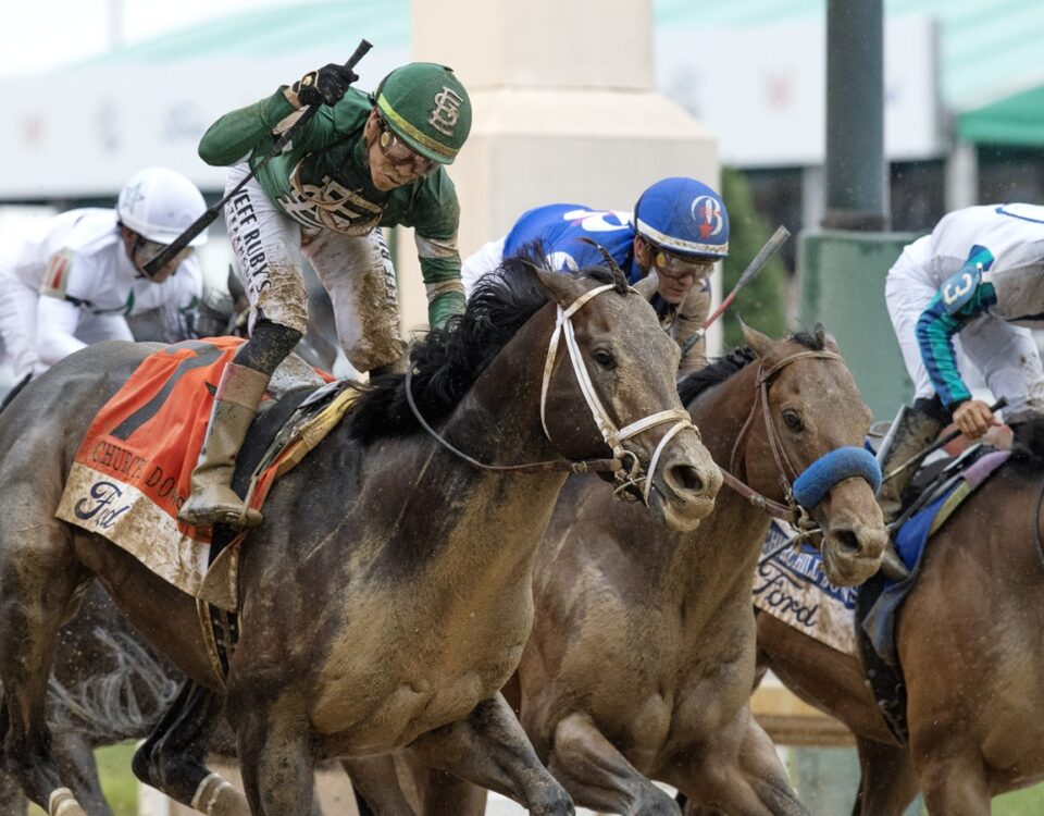 Mindframe - Churchill Downs Stakes G1 - Barbara D. Livingston - Daily Racing Form