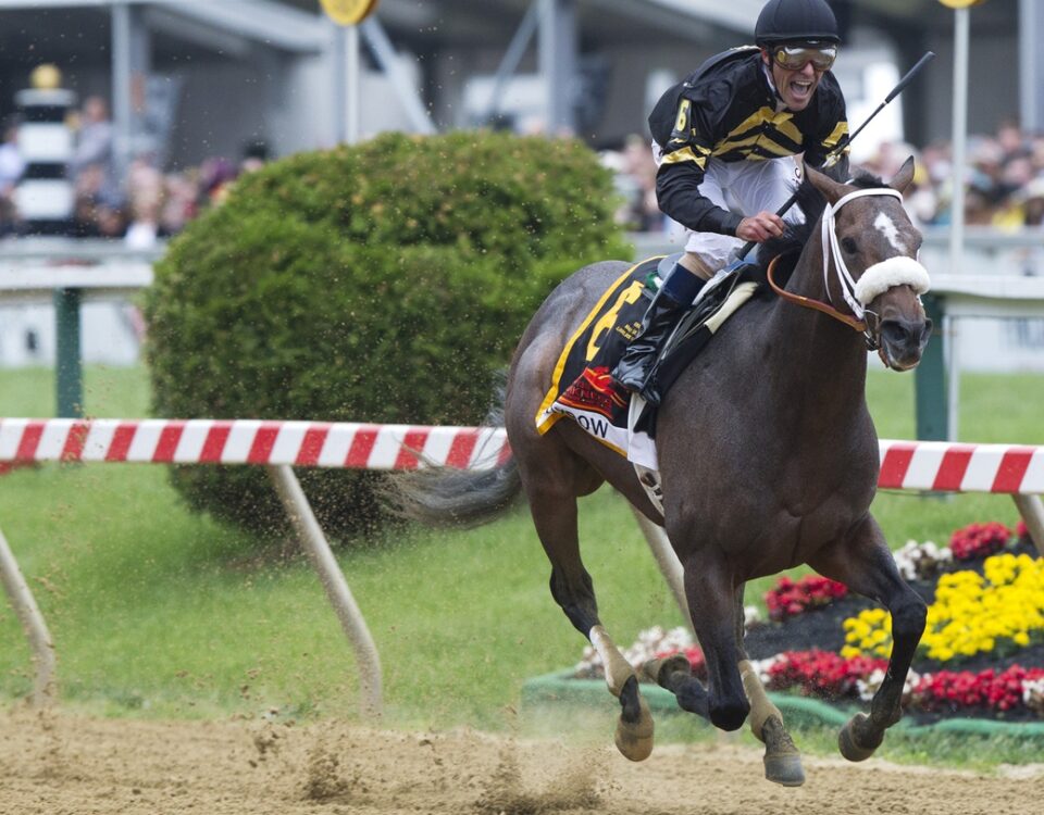 Oxbow - Owner Calumet Farm - Barbara D. Livingston - Daily Racing Form
