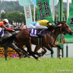 Panja Tower - NHK Mile Cup - Japan Racing Association