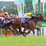 Panja Tower - NHK Mile Cup - Japan Racing Association