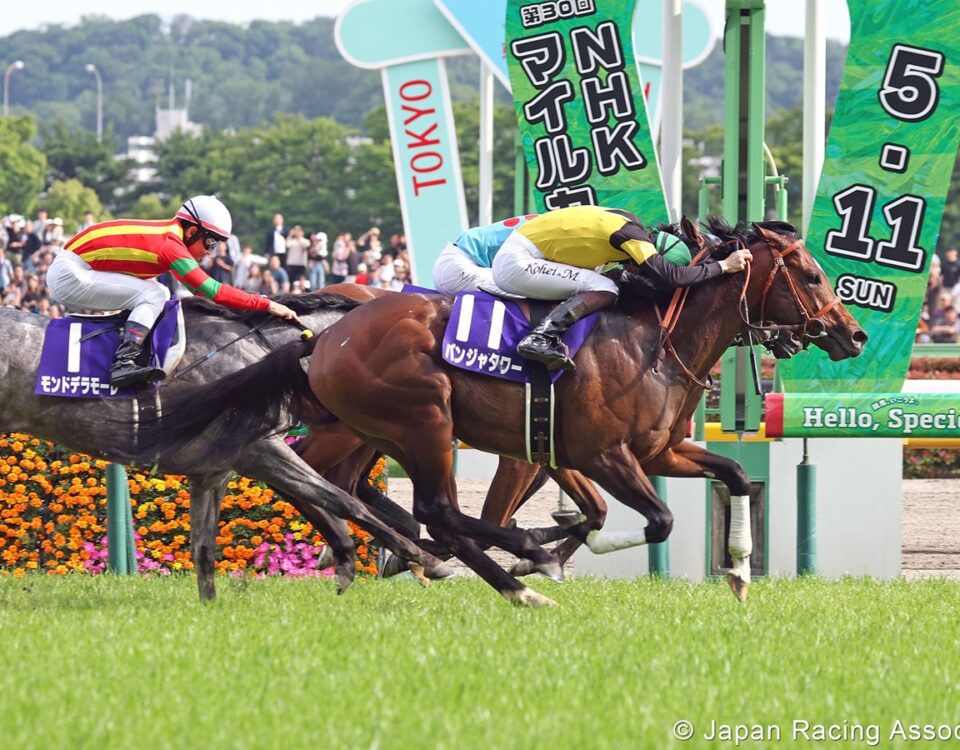 Panja Tower - NHK Mile Cup - Japan Racing Association
