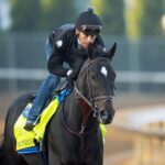 Rodriguez - Foto: Barbara D. Livingston - Daily Racing Form