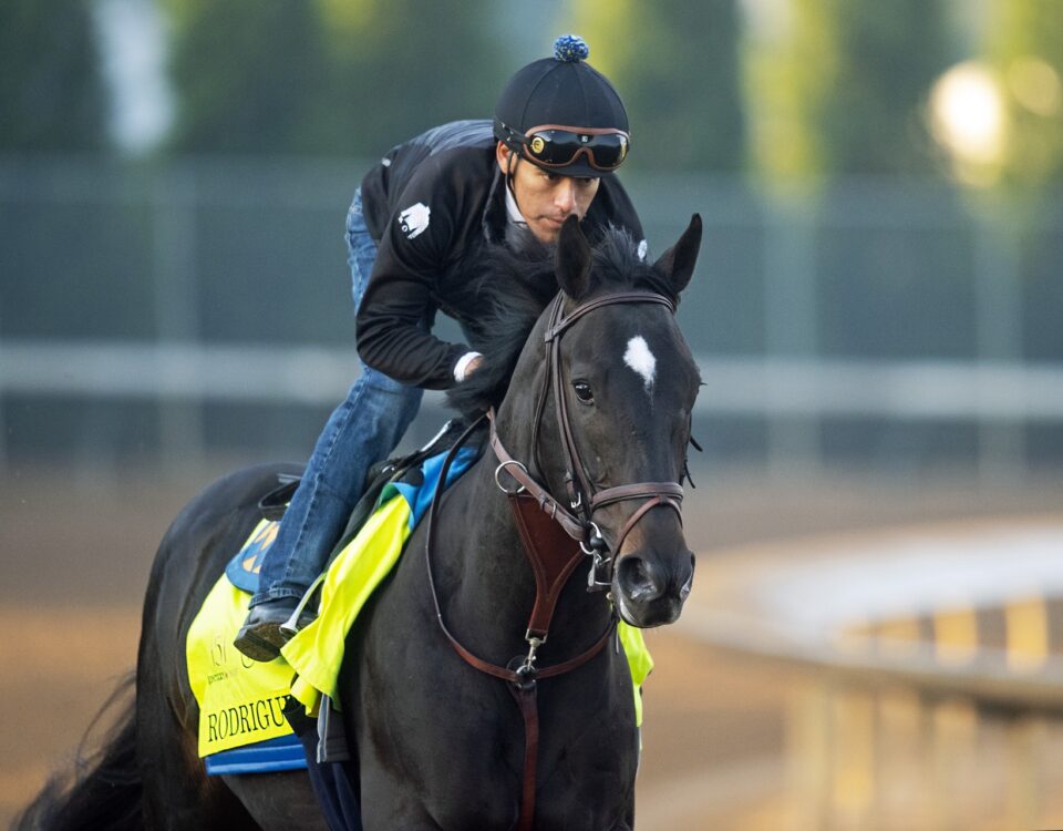 Rodriguez - Foto: Barbara D. Livingston - Daily Racing Form