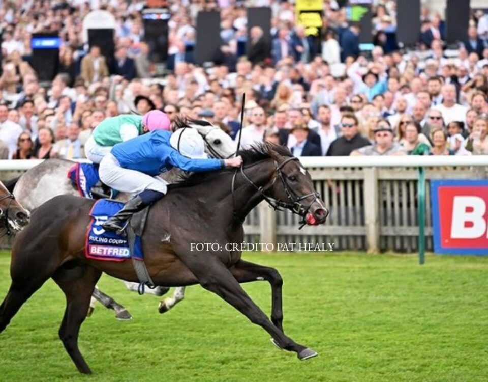 Ruling Court - 2000 Guineas: Foto: Crédito Pat Healy