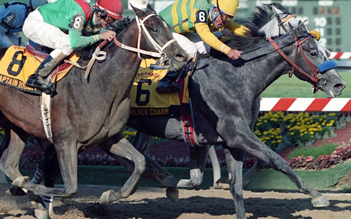 Silver Charm - Preakness Stakes 1997 - Barbara D. Livingston - Daily Racing Form