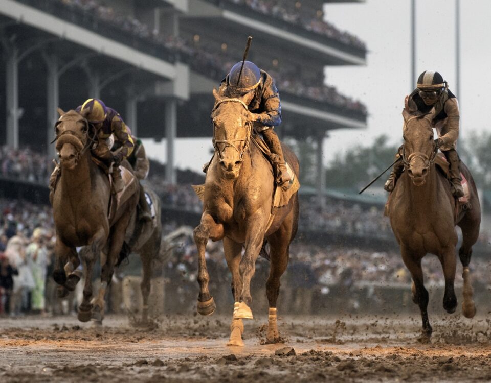 Sovereignty - Photo: Debbie Roma - Daily Racing Form