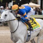 Gulfstream Park - Barbara D. Livingston - Daily Racing Form