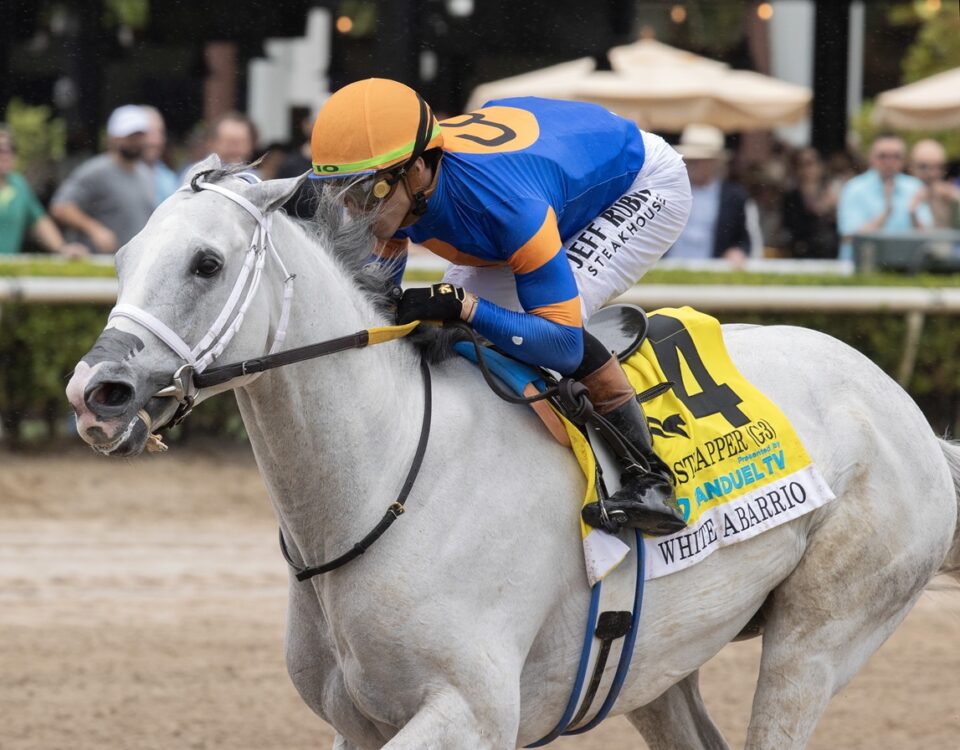 Gulfstream Park - Barbara D. Livingston - Daily Racing Form