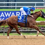 Admiral Dennis - Delaware Derby - Hoofprints Inc