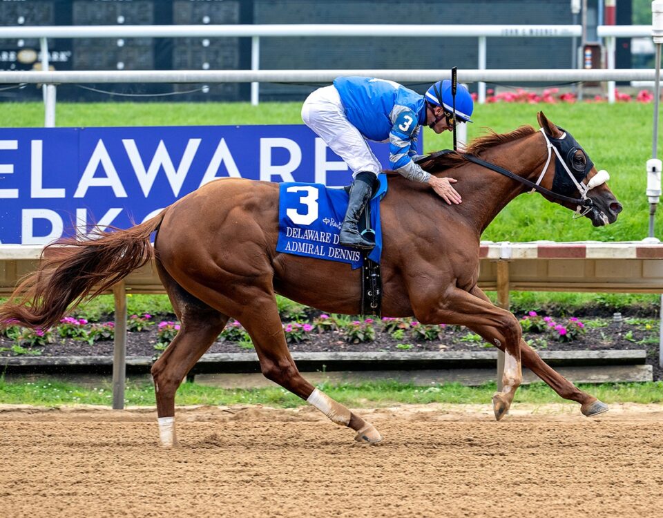 Admiral Dennis - Delaware Derby - Hoofprints Inc