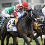 Bosserati - Barbara D. Livingston - Daily Racing Form
