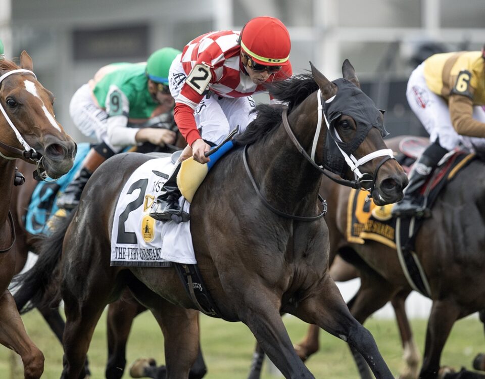 Bosserati - Barbara D. Livingston - Daily Racing Form