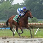 Bracket Buster - Pegasus Stakes - Bill Denver/EQUI PHOTO