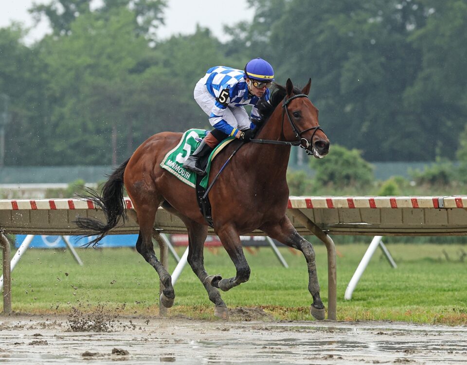 Bracket Buster - Pegasus Stakes - Bill Denver/EQUI PHOTO
