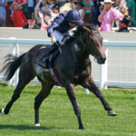 Charles Darwin wins the Norfolk Stakes (credit: Megan Coggin-Ascot Media)