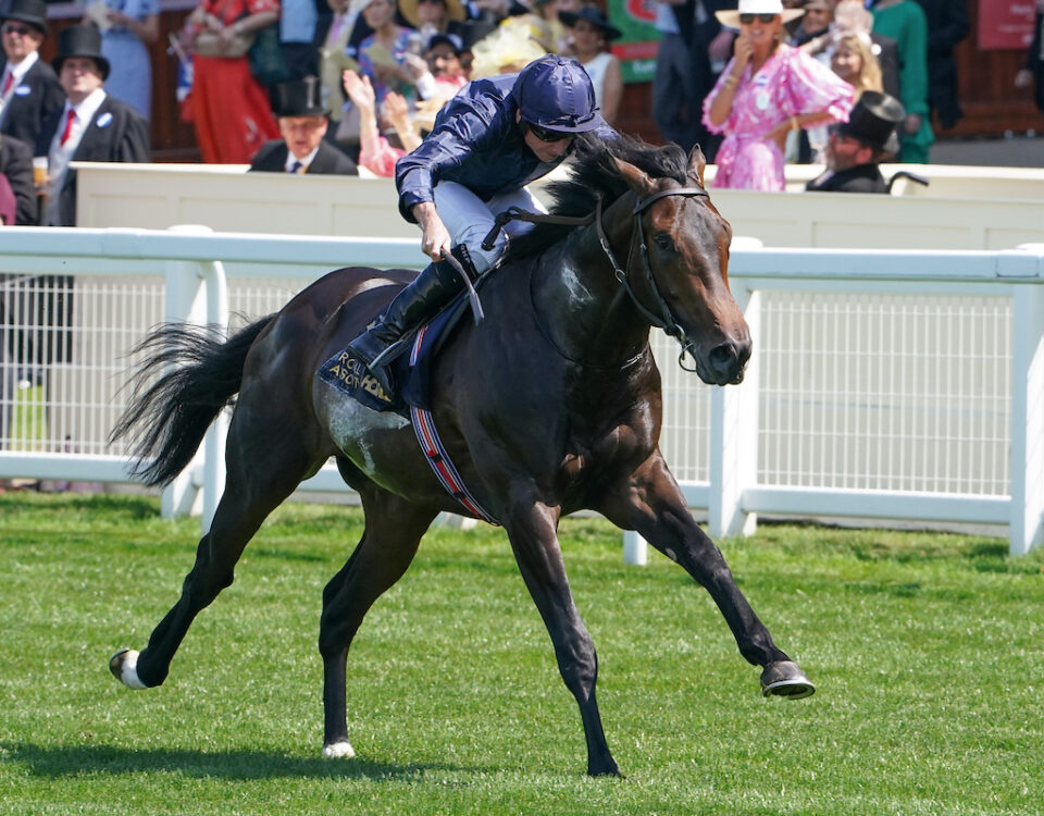Charles Darwin wins the Norfolk Stakes (credit: Megan Coggin-Ascot Media)