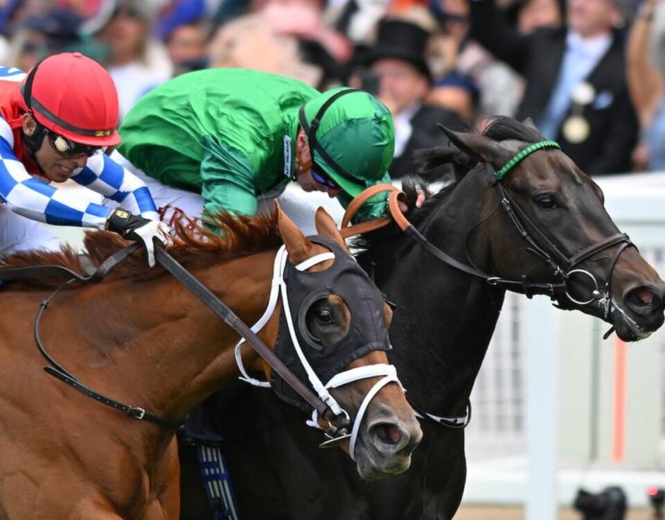 Crimson Advocate - Queen Mary Stakes - Foto: Megan Ridgwell - Ascot Media
