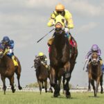 Rhaenyra - Georgian Bay Stakes - Woodbine/ Michael Burns Photo