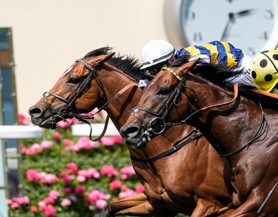 Docklands wins the Queen Anne Stakes (credit Megan Coggin) - Ascot Media