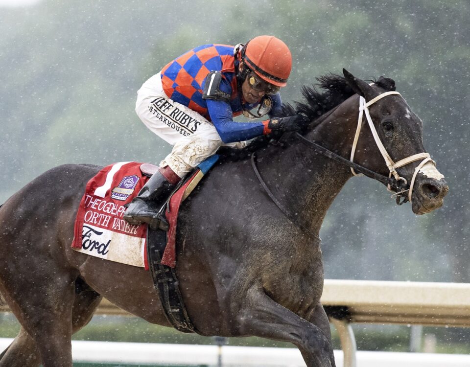 Dorth Vader – foto Barbara D. Livingston – Daily Racing Form