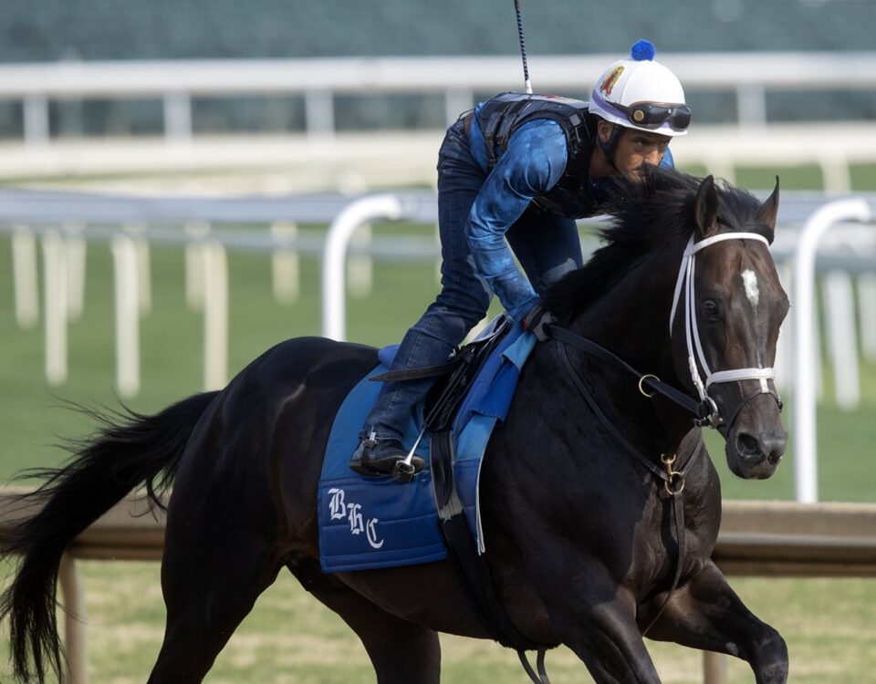 Fist Mission (Beyer 109)- Foto: Barbara D. Livingston / Daily Racing Form