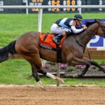 Fondly - Delaware Oaks G3 - Hoofprints Inc.