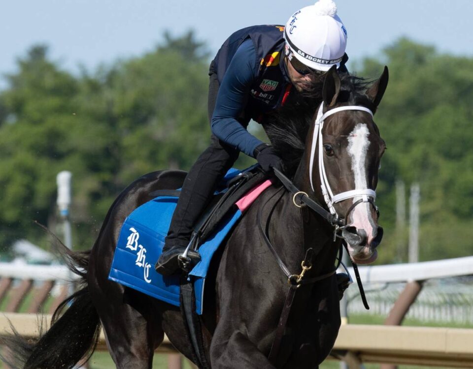 Good Cheer - Barbara D. Livingston - Daily Racing Form