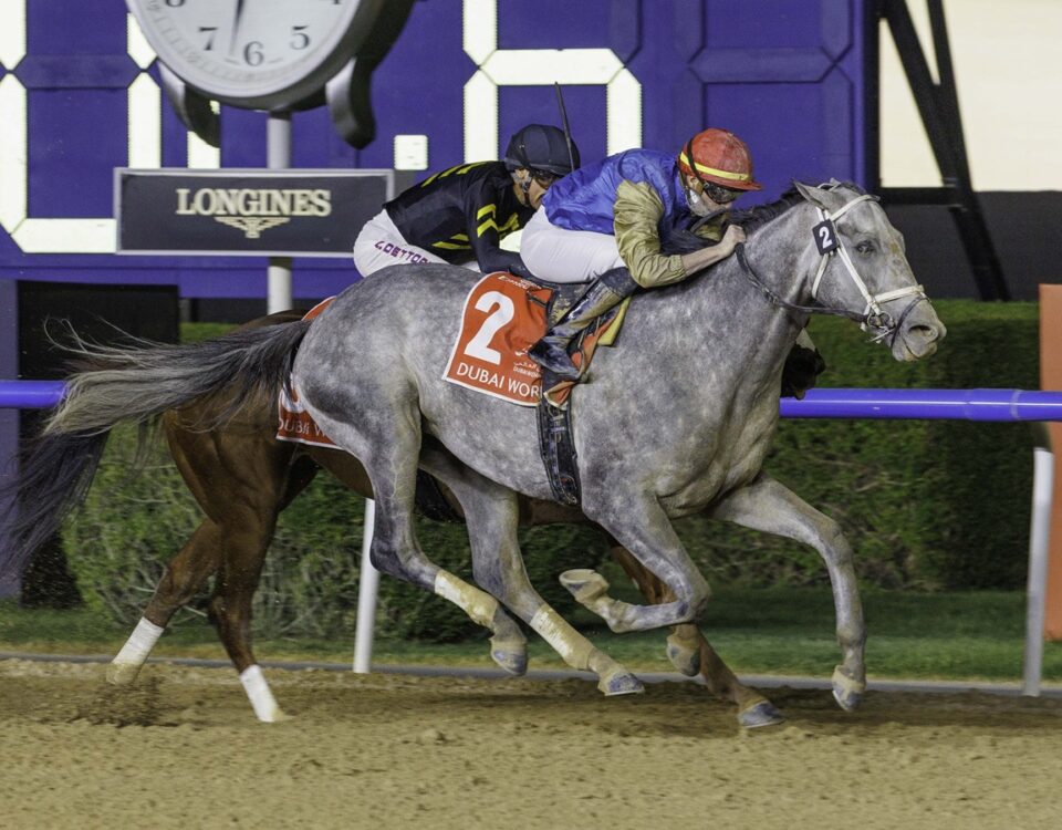 Hit Show - Dubai World Cup - Dubai Racing Media