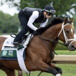 Journalism en Saratoga - Foto: Barbara D. Livingston / Daily Racing Form
