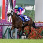 Meisho Tabaru - Takarazuka Kinen G1T - Mariguricacing.com/Breeders Cup Media