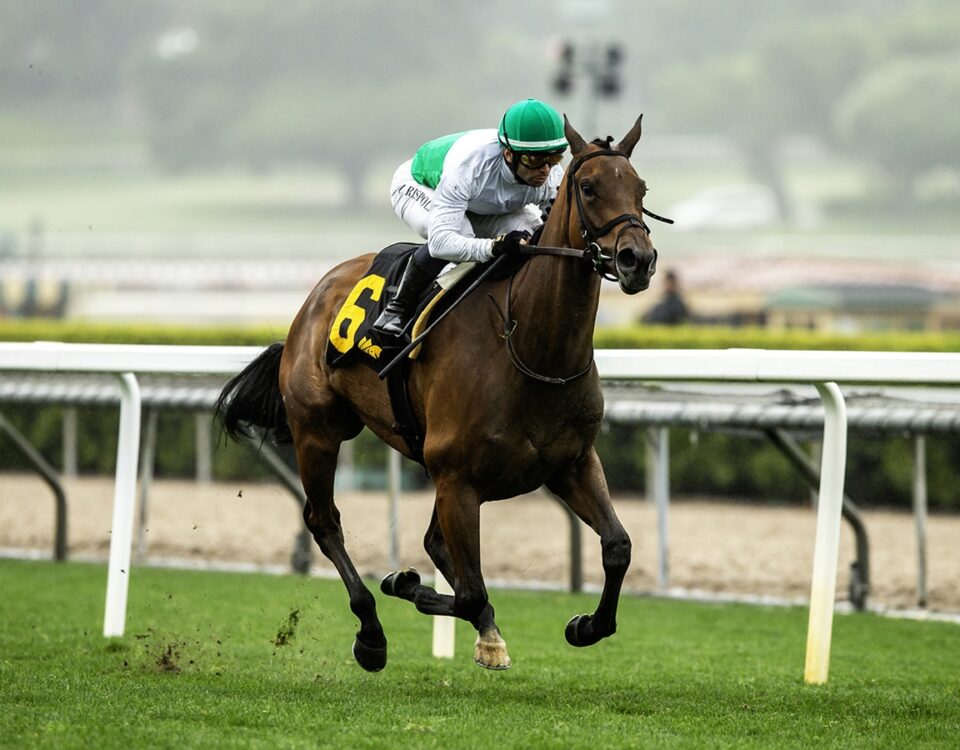 Mrs. Astor - Santa Barbara Stakes - Benoit Photo