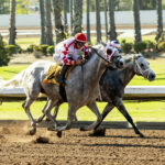 Los Alamitos Race Course, Cypress CA.© BENOIT PHOTO