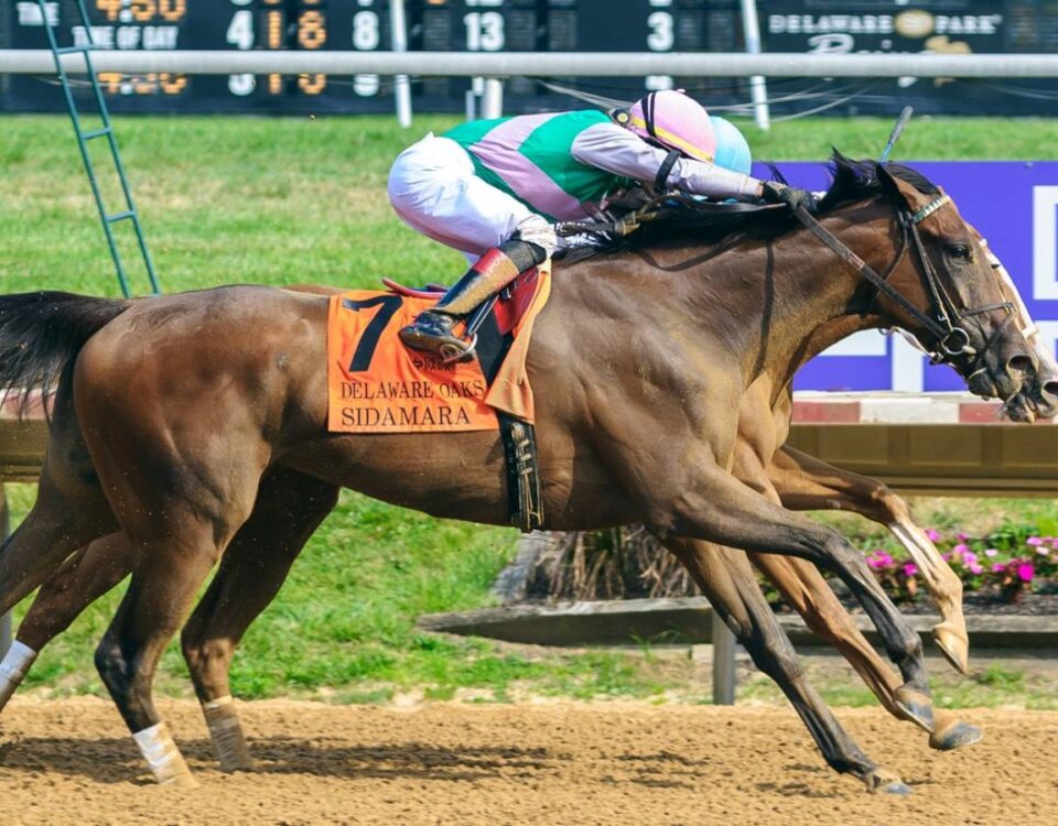 Delaware Oaks 2024 - Foto: Hoofprints Inc.