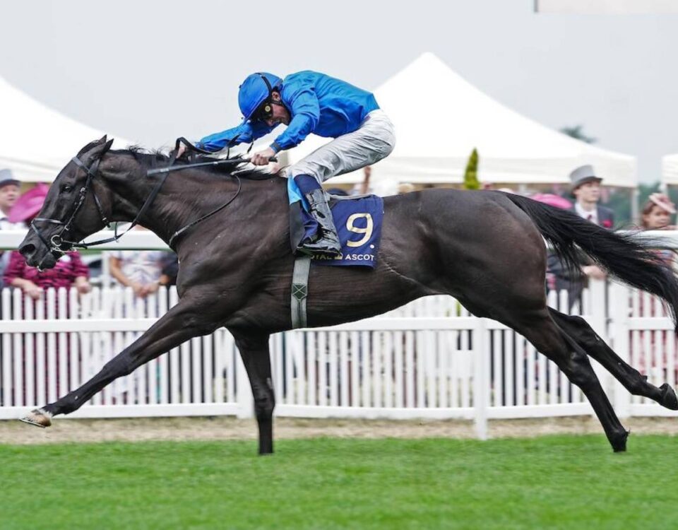 Rebel's Romance wins the Hardwicke Stakes (credit: Megan Coggin-Ascot Media)