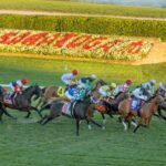 Saratoga Scenic - Barbara Livingston - Daily Racing Form