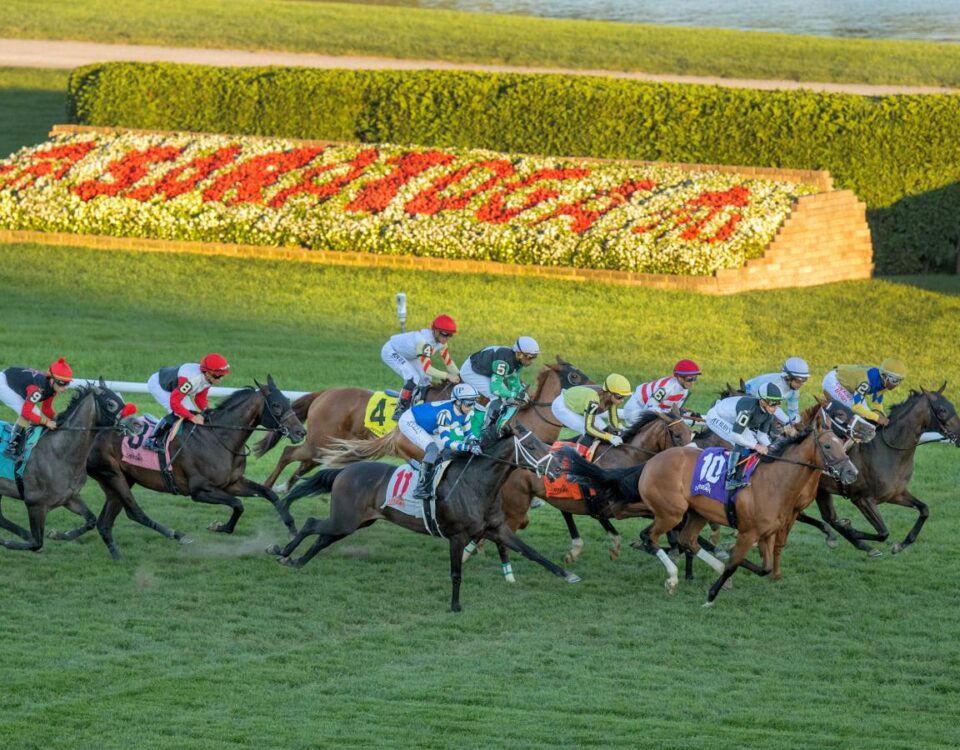 Saratoga Scenic - Barbara Livingston - Daily Racing Form
