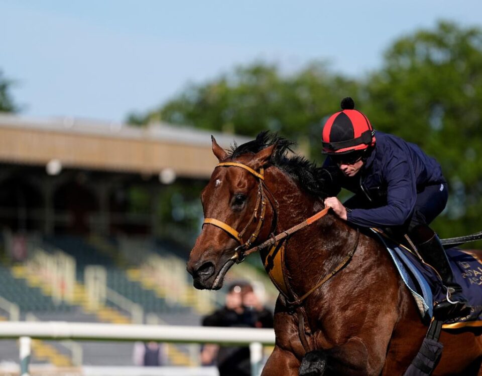 Satono Reve - John Hoy - Ascot Media