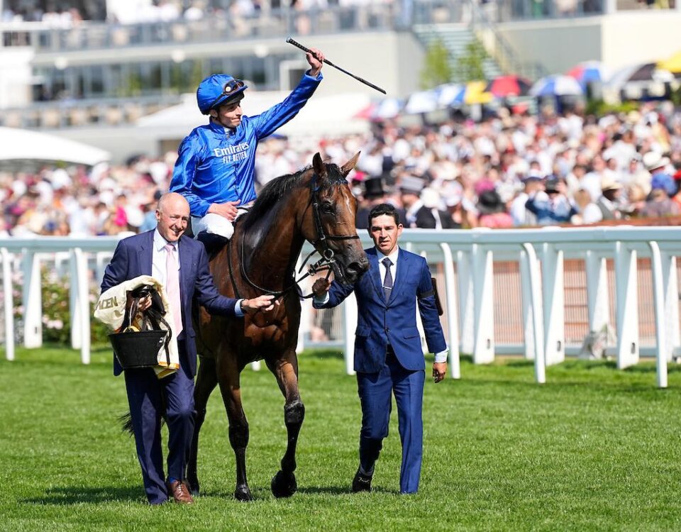 Trawlerman after winning the Gold Cup (credit: Megan Coggin-Ascot Media)