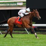 Whiskey Decision - Eatontown Stakes G3T - Bill Denver/EQUI-PHOTO