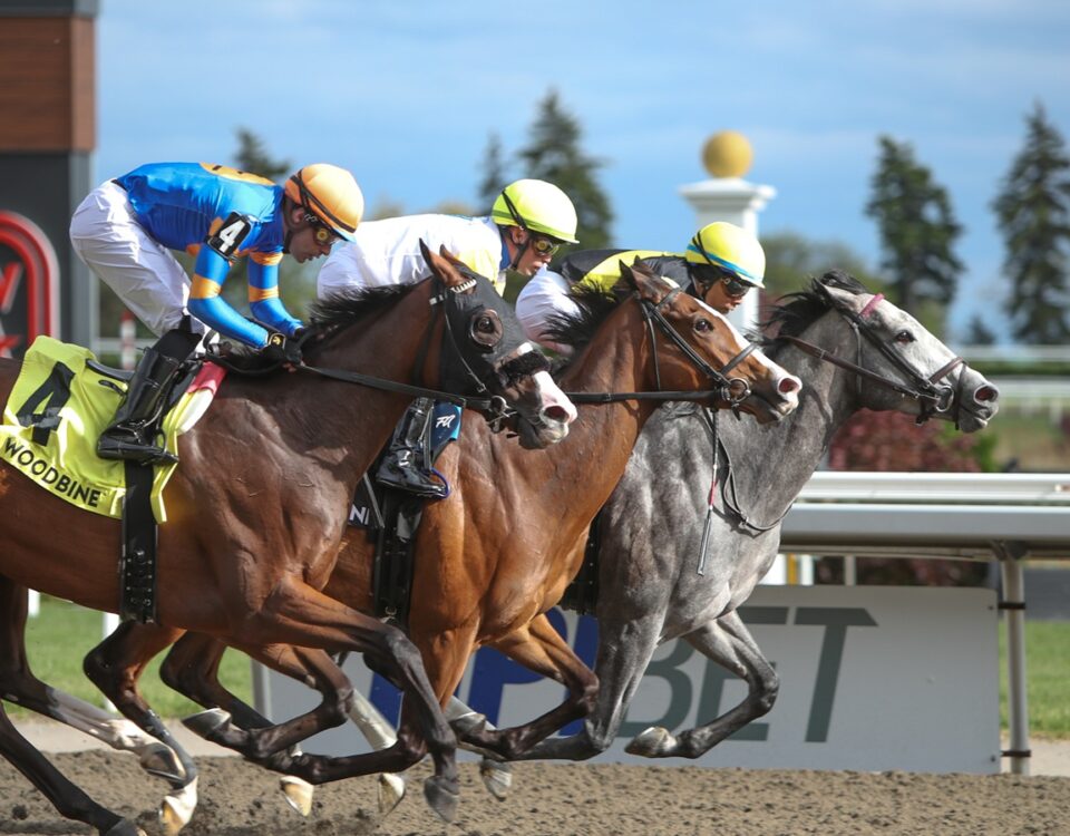 Woodbine Action - Julie Wright - Daily Racing Form