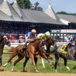 Adventure - Saratoga Scenic - Debra A. Roma - Daily Racing Form