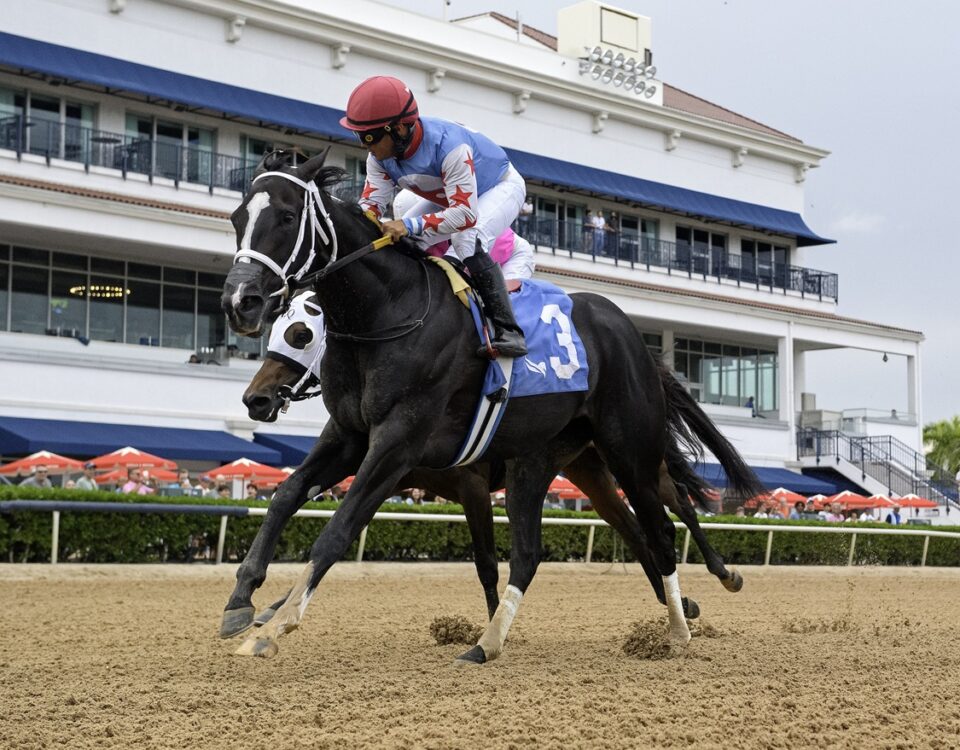 Andrea - Azalea Stakes - Ryan Thompson/Coglianese Photo